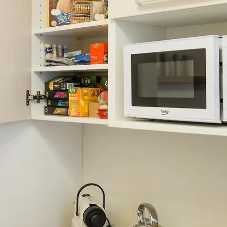 Apartma Zeyer 1887 아파트 *