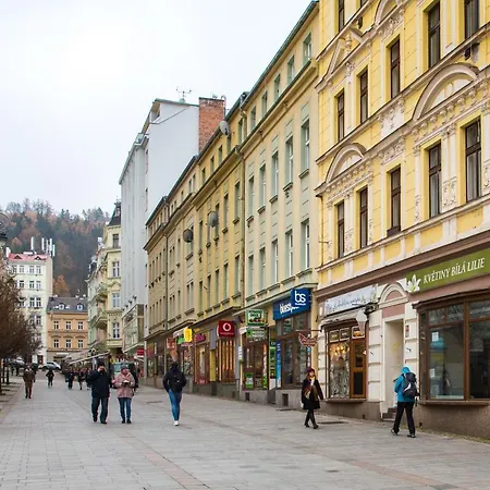 Apartma Zeyer 1887 Lägenhet Karlovy Vary